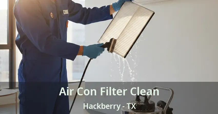 Air Con Filter Clean Hackberry - TX