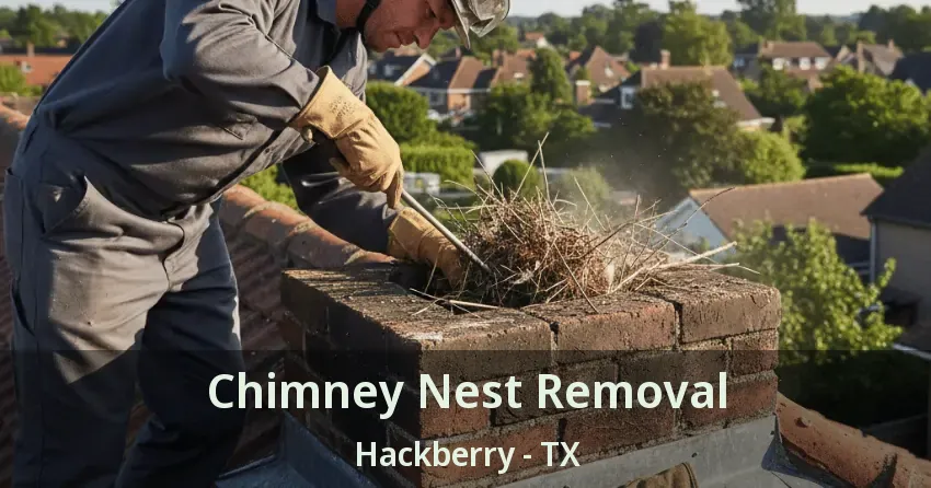 Chimney Nest Removal Hackberry - TX