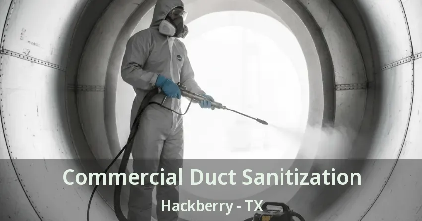 Commercial Duct Sanitization Hackberry - TX