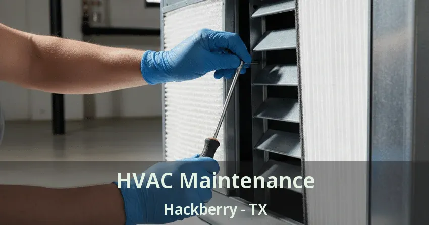 HVAC Maintenance Hackberry - TX