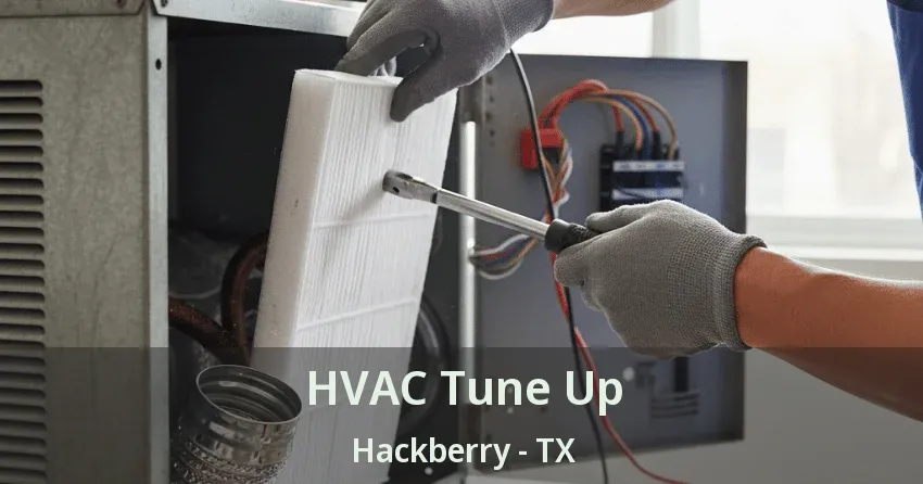 HVAC Tune Up Hackberry - TX