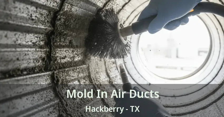 Mold In Air Ducts Hackberry - TX