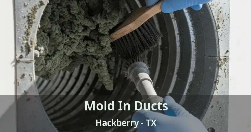 Mold In Ducts Hackberry - TX Mold In Ducts Hackberry - TX